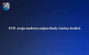 Miniaturka artykułu Transmisja obrad XVII sesji nadzwyczajnej Rady Gminy Kodeń